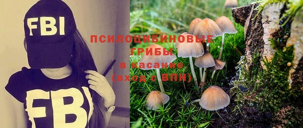 винт Баксан
