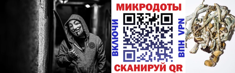 Галлюциногенные грибы Psilocybe  Шагонар 